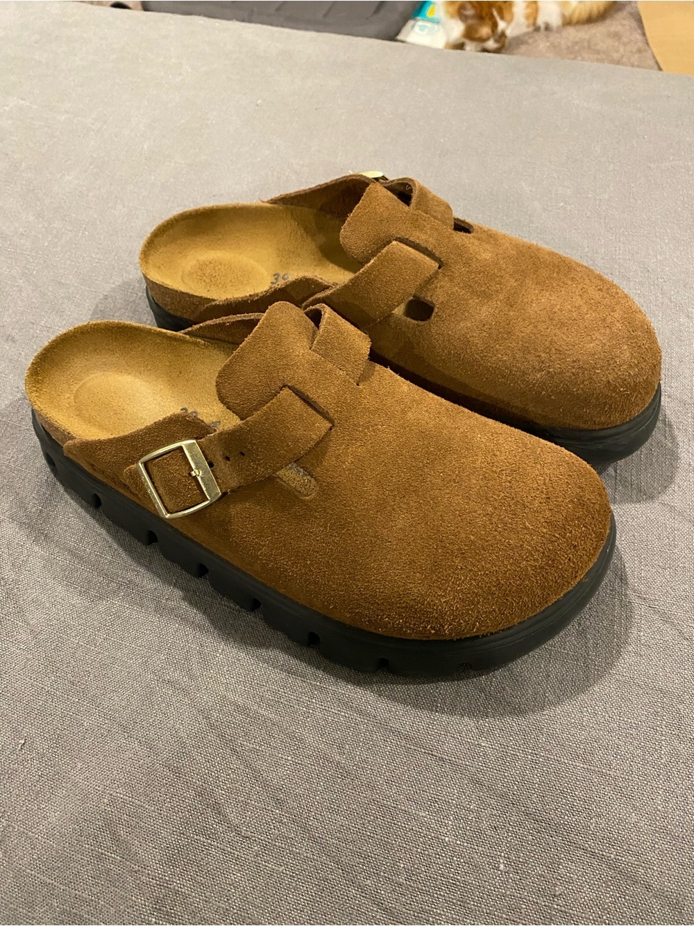 Papillio Women's Suede Boston Clog Mule in Chestnut Brown with Buckle